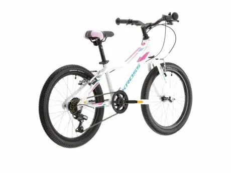 002-2F42646_2FKRLEM120X11W003561-KR-LEA-MINI-1_20_E2_80_94_20kopia_20_282_29_1_1