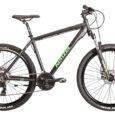 SHADE-601-1161-black-green-2023