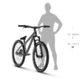 product-size-WHIP-ML