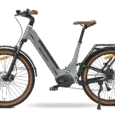 Mokosha-grey-1
