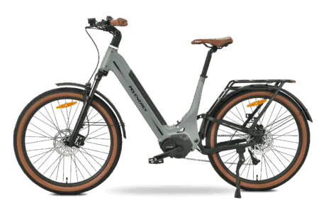Mokosha-grey-1