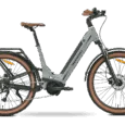 Mokosha-grey-2-1