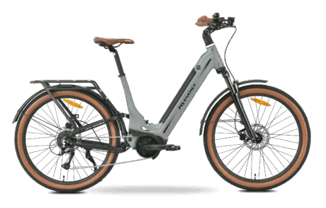 Mokosha-grey-2-1