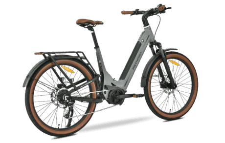 Mokosha-grey-3
